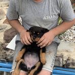 Max Monti - Facebook