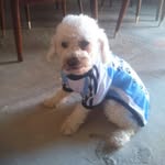 maxmonzon - @mariafloresmf468789 - Instagram