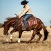 Max Morin Performance Horses - Facebook