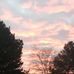 Max Morlock - Facebook