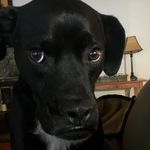 Max Morlock - @max_m0r1ock - Instagram