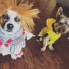 Max and Morocho - @maxandmorocho - TikTok