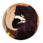 Max Morse🐶 - @max_the_terrior - Instagram