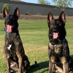 Adventures of Motley&Max - @adventuresofmotleyandmax - Instagram