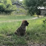 Maximiliano Motley Varela - @max.motley.gsd - Instagram