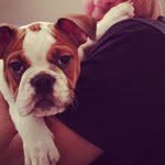 @maxmotley - Instagram