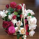 Max Mott - @mottmax - Instagram