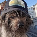 Max Valsesia - @maxmotti - Instagram