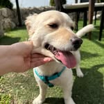 Max / maxou - @max_mouawad - Instagram