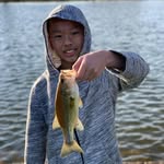 Max Moua - @max.moua.520 - Instagram