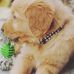Brodey Max Mowery - Facebook
