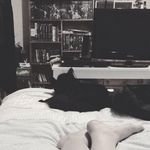 Max - @maximus_mroczkowski - Instagram
