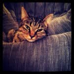 Max.mulcahy - @max_mulcahy2002 - Instagram