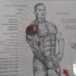 Max Mulder - @max_mulder123 - Instagram