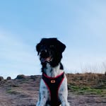 Max Mulder - @max_thefriesian - Instagram