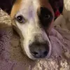 Max - @max..mcmullen - TikTok