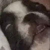 Max Mullins - @user7061046582022 - TikTok