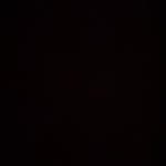 maxx - @max.mullins13 - Instagram