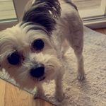 Max Murdoch - @maxaroo02 - Instagram