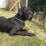 Max Murdock Elo - @maxmurdockelo - Instagram