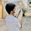 Max & Muffin 🐾 - @maxmeow12 - TikTok