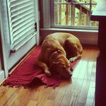 Murrell - @murrell_max - Instagram