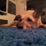 maxima mutter - @maxmutter - Instagram