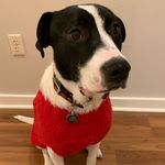 Max Nagy-Mckim - @maxie_the_mooo - Instagram