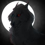 Max Najera - @dark_wolfes25 - Instagram