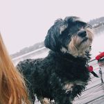 Max Naylor - @trippin2themax - Instagram