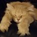 Max Naylor - Facebook