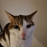 Max Naylor - @maxdnaylor - Instagram