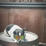 Max Neal - Facebook