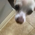 Max Neal - @maxneal33 - Instagram