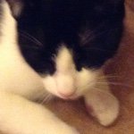 Maxneedle - @maxneedlex - Instagram