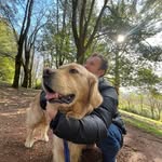 Max Needleman - @emunahbodywork - Instagram