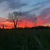 Max Nemecek - @max.nemecek - TikTok