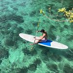 max - @maxnesseverdeen - Instagram