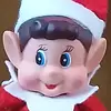 maxneumann - @kiwiguy2085 - TikTok