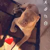 Max._.nevarez❤️ - @max._.nevarez0 - TikTok