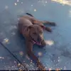 ❤️max._.nevarez🐕 - @max._.nevarez - TikTok
