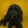 maxdoxtm83m - @max.nevarez01 - TikTok