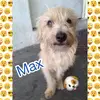 Maxu - @max_nevarez - TikTok