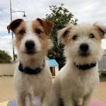 Max & Neville Dixon - @max_and_nev - Instagram