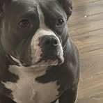 Max Neville - Facebook