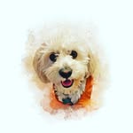 Max Neville - @xo_max_neville - Instagram