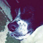 Max Hanna Newell - @maxamillon2011 - Instagram