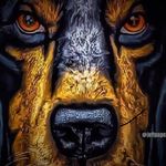 Max_newsome - @max_newsome8619 - Instagram