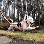 Max Nicastro - @skate_dogtor - Instagram