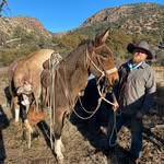 Max Nichols - @maxnichols_saddlemules - Instagram